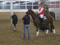 IMG_3019_web